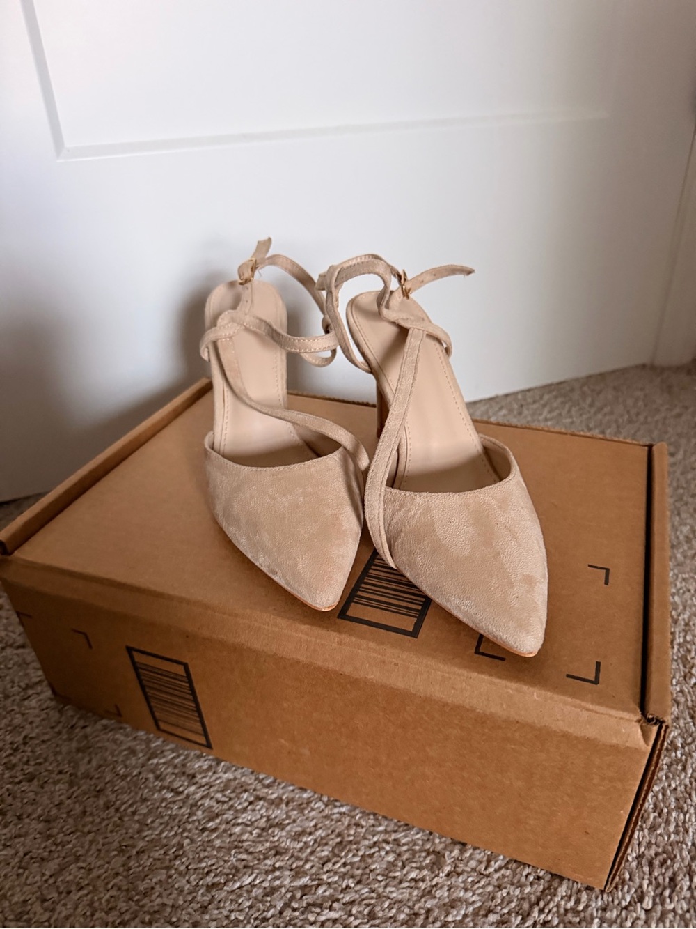 Suede Pointed Toe Ankle Strap Pumps in Beige
